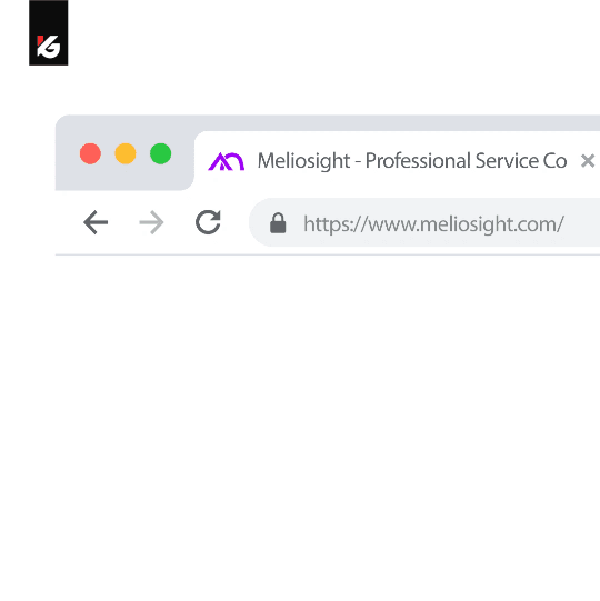 Meliosight Cover